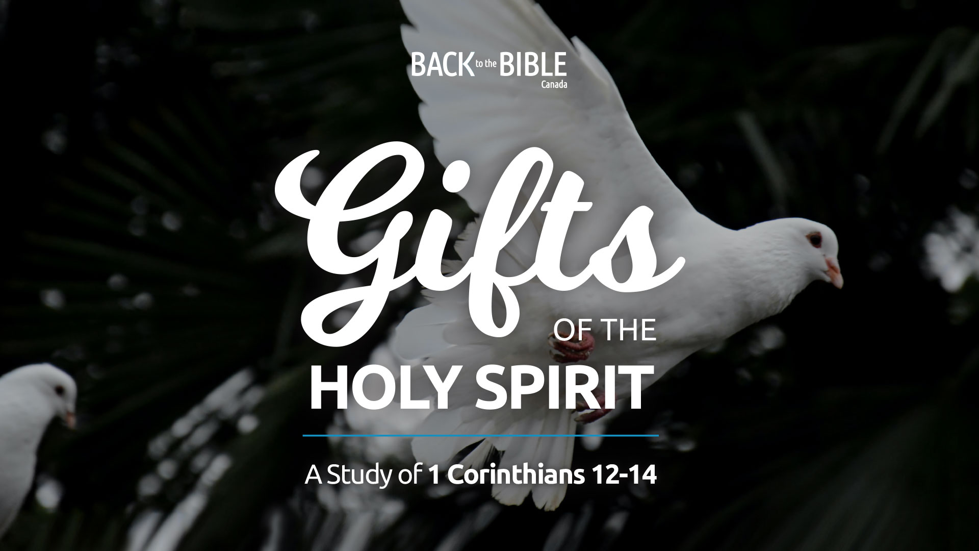 THE GIFTS OF THE HOLY SPIRIT - THE GIFT OF UNDERSTANDING