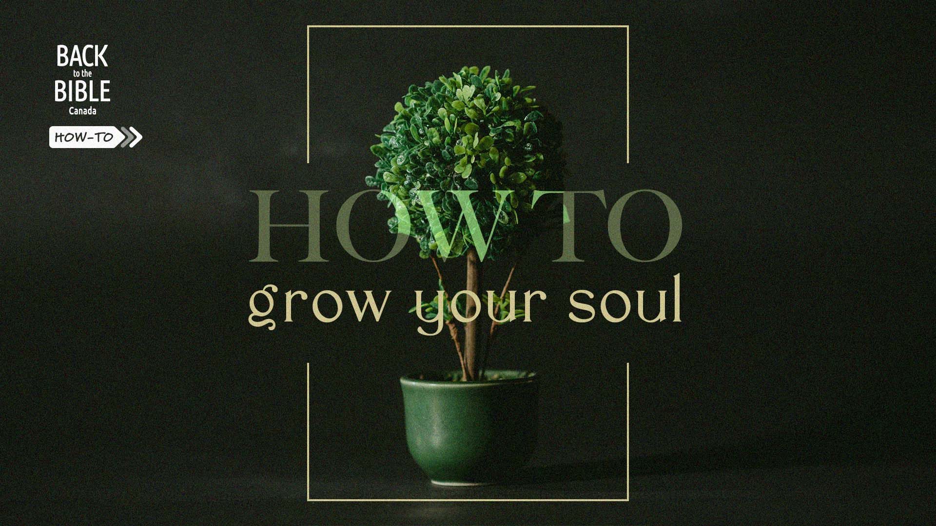 How to Grow Your Soul